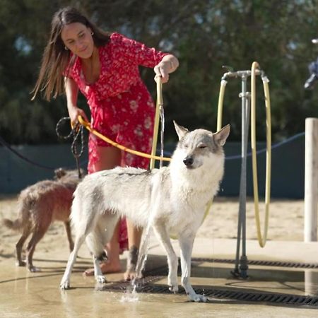 קאורלה Pareus Beach Resort מראה חיצוני תמונה